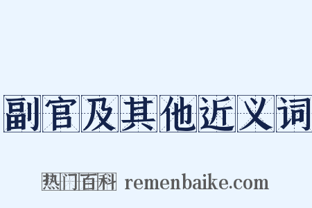 副官及其他近义词是什么意思的图片